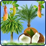 Logo of Tropic HD android Application 